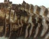 豚バラ・ブロック肉チャーシュー焼豚もどき作り方5写真