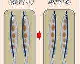 私流✿さんまの塩焼き作り方3写真