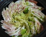 白菜＋豚＋白菜＋豚…鍋作り方3写真
