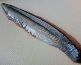 秋刀魚の生姜巻き　～液漬け酢〆風～作り方4写真