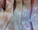 冷めても美味しい！鶏の甘辛ネギソース作り方1写真
