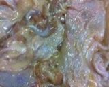 冷めても美味しい！鶏の甘辛ネギソース作り方6写真