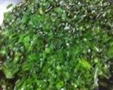 冷めても美味しい！鶏の甘辛ネギソース作り方12写真