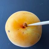 梅の下処理方法〜傷んだ梅の下処理・保存〜作り方4写真