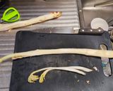 うどの白だし浅漬け作り方1写真