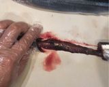 生秋刀魚の下処理♪簡単な内臓の取り方🐟作り方6写真