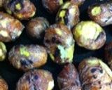 ほっこり秋の味覚栗ご飯・鬼皮をむきやすく作り方1写真