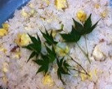 ほっこり秋の味覚栗ご飯・鬼皮をむきやすく作り方4写真