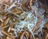 ぜんまいとコンニャクの煮物・ご飯のおかず作り方4写真