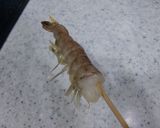 まっすぐな☆えび☆　お寿司用作り方2写真