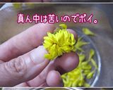 効く【菊花・黒米。秋色追い込み寿司】作り方8写真