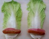 新生姜＆ウインナー白菜くるくる巻き（串）作り方1写真