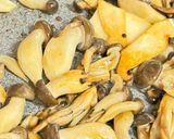 旨味を爆発させた🍄キノコの炊き込みご飯🍁作り方5写真