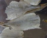 ハゼとキノコのグラタン作り方3写真