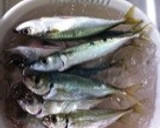 鯖の竜田揚げ作り方1写真