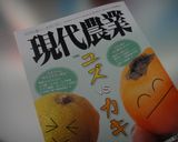 ゆずコショウの☆保存方法☆作り方4写真