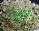 少しピリ辛の麻婆春雨作り方7写真