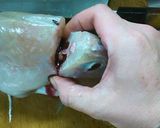 うまづらはぎ捌き方（自己流旨あしからず）作り方4写真