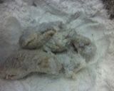 若鶏の竜田揚げ作り方2写真