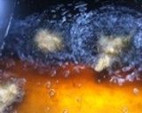 若鶏の竜田揚げ作り方3写真