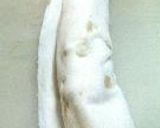 はるまき風鶏巻作り方22写真