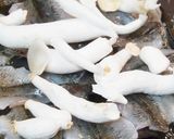 ハゼとキノコの酒蒸し作り方6写真