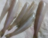 魚 鱚 刺身 キスのさばき方と昆布酒締め作り方4写真