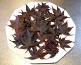 イロハモミジの抽出液で作る冷かけうどん作り方3写真