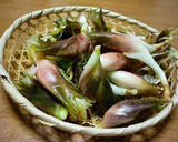 マジック?赤さひときわ～茗荷の甘酢漬け作り方1写真