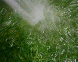 葱オムレツ作り方4写真