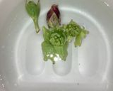 ふきのとう味噌(居酒屋お通しver.)作り方1写真