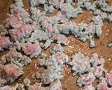 簡単!とろっと新玉ねぎと豚ミンチ炒め作り方2写真