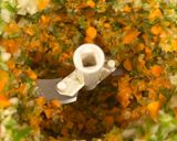 ドライカレー作り方1写真