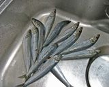 【杜氏流】なめろう☆味噌酒粕風味作り方1写真