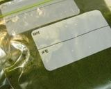 バジルソース（ジェノベーゼ）クルミ入り作り方3写真