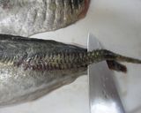 あじの香り揚げ☆骨もカリカリ～♪作り方3写真