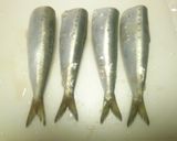 いわしのカレー風味揚げ！作り方2写真