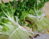 貝割れ大根のおひたし　生姜風味作り方3写真