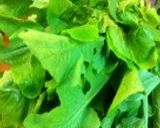 大根菜の炒め煮で菜飯(‾ー‾)作り方1写真