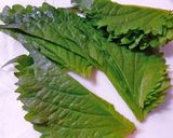 海老と鶏ひき肉の春巻き♪作り方4写真