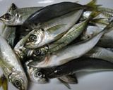 絶品*鯵の南蛮漬け作り方1写真
