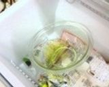キャラメル・シフォンケーキ作り方3写真