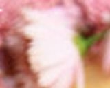 もって菊のおひたしー生姜醤油味ー作り方1写真