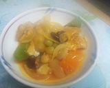 野菜ジュースで簡単鶏の煮込み作り方5写真