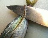 気分だけ船盛！作り方11写真