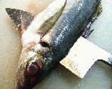 気分だけ船盛！作り方17写真