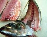 気分だけ船盛！作り方19写真