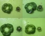 ピーマンのヘタと種を簡単に取る切り方作り方8写真