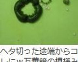 ピーマンのヘタと種を簡単に取る切り方作り方9写真