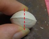 銀杏をきれいに剥く方法作り方1写真